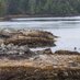 UBC Future Waters (@ubcfuturewaters) Twitter profile photo UBC Future Waters (@ubcfuturewaters) Twitter profile photo