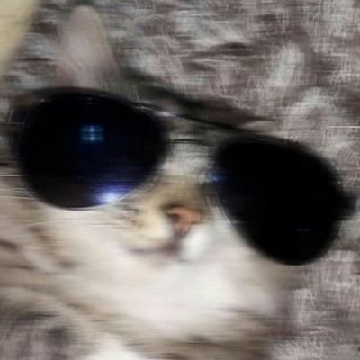 Echinoderms's profile picture. I don't use Twitter a lot.