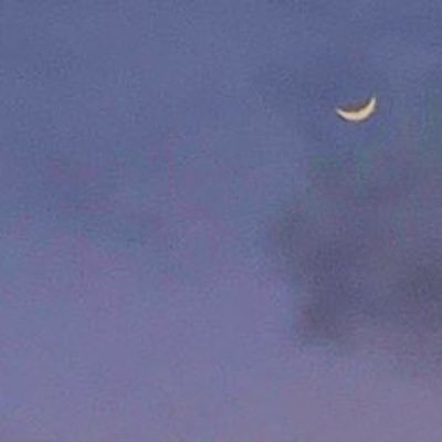 ﴿ تَوَفَّنِي مُسْلِمًا وَأَلْحِقْنِي بِالصَّالِحِينَ ﴾