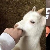 Meeka (@meekamilk) 's Twitter Profile