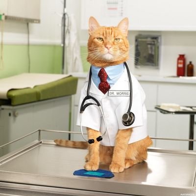 OlieHoly's profile picture. лор. сурдолог. 
я устала сгорать, я хочу гореть.
