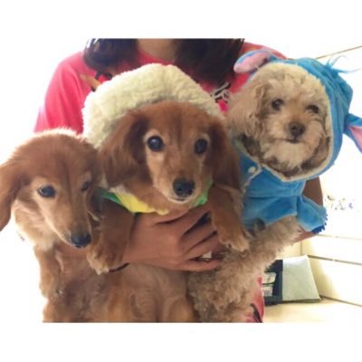 HPXdAHUC8kmGGNv's profile picture. 