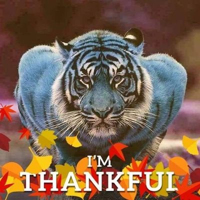 jholmesmem's profile picture. Memphis