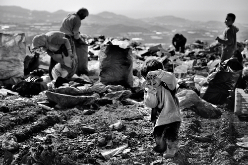 ghoolcheh's profile picture. 