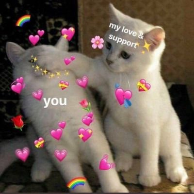 BasicbitchesH's profile picture. \\we were bored so now this happened.//admins: @gayquackitystan/@softbabybree //