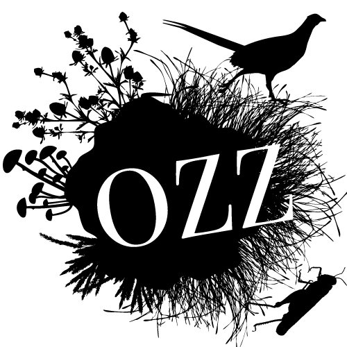 wildoogst's profile picture. slow food en vrije voedselvergaring!