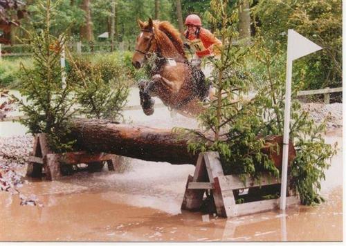 touchofgoldstud's profile picture. I run the Touch of Gold Stud (breeders/producers of superb competition horses),equine consultant, plus rather partial to watching rugby