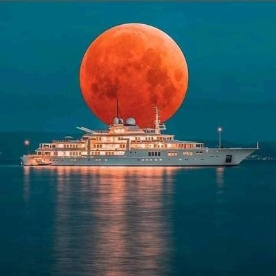 AbbasAh35833134's profile picture. 