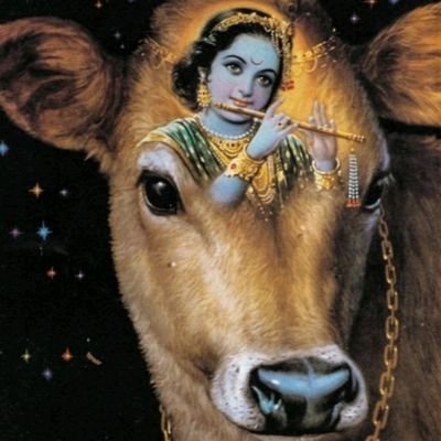 Jay odhvram