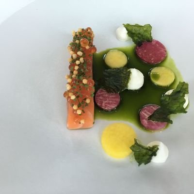 haylanects's profile picture. 