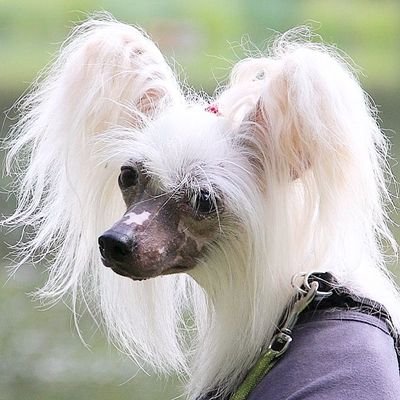 Victori02320692's profile picture. Колхозный дилетант