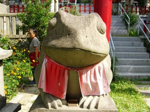 nooriさんのプロフィール画像