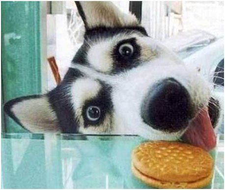 MyraGr's profile picture. IT Girl