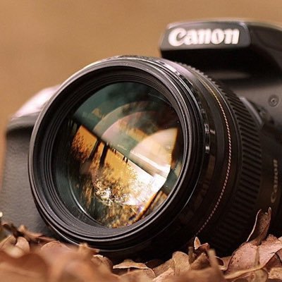 alwalaa_hassan's profile picture. بصيرة الأنسان الأولى، إدراكه 🍃