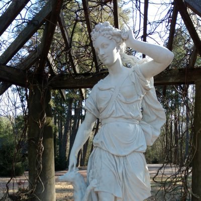 a_a_sneed's profile picture. Proud Appalachian trying to live an emoji free life while studying food, literature, history, astrophysics, and politics. (If it matters, I practice law.)