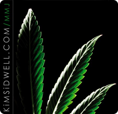 Kim Sidwell is a Denver-based photographer and cannabis advocate.

Check out http://t.co/s59lcsBngH or contact Kim@KimSidwell.com for more info.