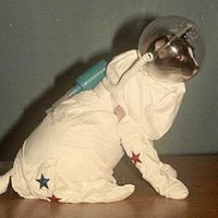 dr t s Beall (@tsbeall) 's Twitter Profile