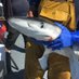 Fishingmagic (@fishingmagic1) Twitter profile photo Fishingmagic (@fishingmagic1) Twitter profile photo