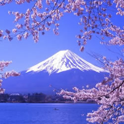 Over 50,000 hotels all over the world to choose from. (Over 5,000 hotels and ryokans in Japan