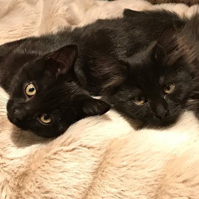 KHerland's profile picture. Life is a rock but the radio rolled me