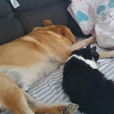 Patou21807774's profile picture. Infirmière