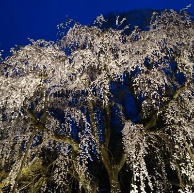 京都に住んでます。
→東京に単身赴任中です。
何気ない風景を写真に撮るのが好きです。