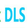 Simplex-DLS(@dynamic_legal) 's Twitter Profile Photo