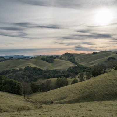 Vikyha_Y's profile picture. 