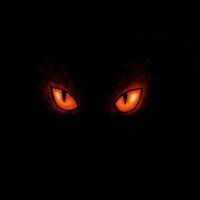Momus (@momusismining) 's Twitter Profile Photo