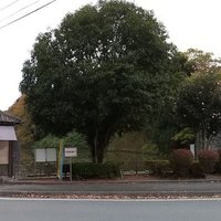 w4cdP (@qzvw2) 's Twitter Profile