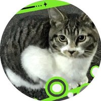 俺は魔人 (@mohu_nargo) 's Twitter Profile