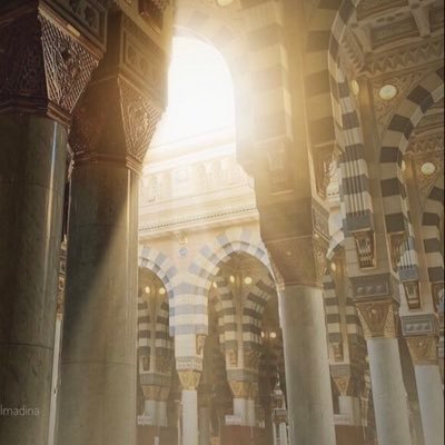 NeclaSadk1's profile picture. 