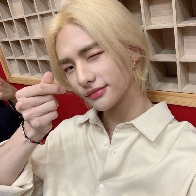 .•♫•♬• Stray Kids, Treasure, Enhypen, Golden Child, Cravity, NCT, Ateez, EXO, Wanna One, X1
Toda una multi ahre •♫•♬•