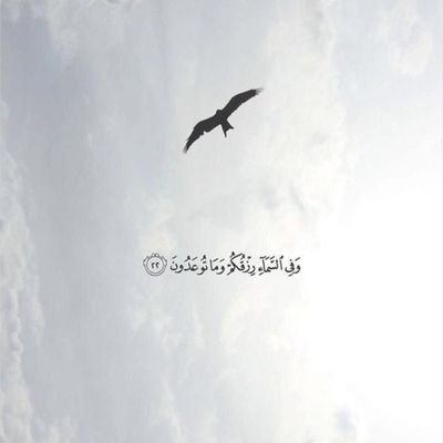 NiceHailah's profile picture. ‏‏💚
..........................✌