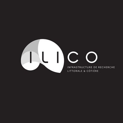 IR-ILICO Profile
