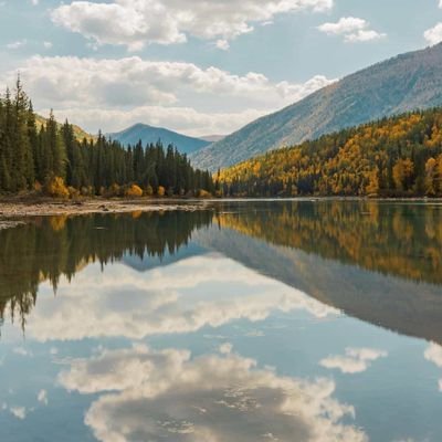 hp34461688's profile picture. 