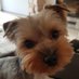 Gośka de domo Caramba 🇵🇱🇪🇺 (@malgorzatamar) Twitter profile photo Gośka de domo Caramba 🇵🇱🇪🇺 (@malgorzatamar) Twitter profile photo