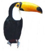 ToucanChat's profile picture. A UK Social Media Experience. Likes F1, Traveling, Sunshine, making people laugh. Always tries to do the best thing in work and life. Married with three cats.