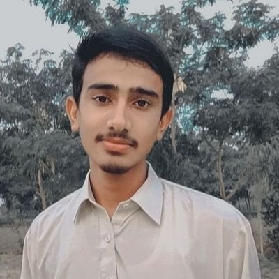 NumanAh49114153's profile picture. education is best choice