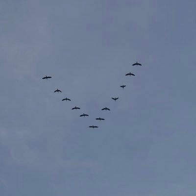AccountantProud's profile picture. Spirituality is only way for global peace