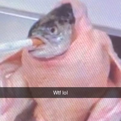 owings_adam's profile picture. 12 just wanna have fun