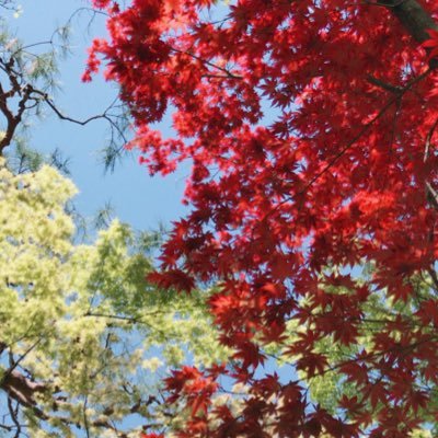 ありたな エムペとか ナノとか 小説家になろうとかですかね エムペとナノが個人的には見やすいので好きです 今なんですけど 中学のころから何度も読んでるくらい大好きな作品なので閉鎖はやめてほしいです