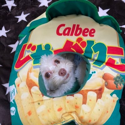 DFmOsI4QNs1JbI1's profile picture. GOD大好き！バス釣り大好き！ 崖スクリューに現在ハマり中‼️
