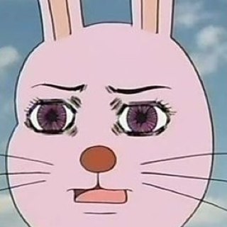 vj_ravvit's profile picture. Visual jockey, Graphic designer