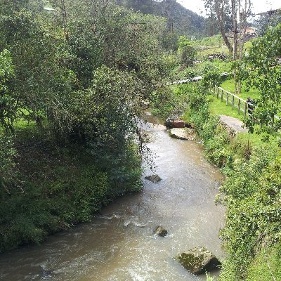 AlvaroTovar8's profile picture. aprendizaje contínuo