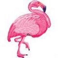 🇺🇸TarHeel🐏(@flamingoHeels) 's Twitter Profile Photo