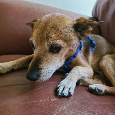 DaleJen96190238's profile picture. fun is important