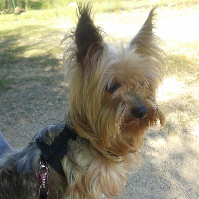 FrostTitia's profile picture. 