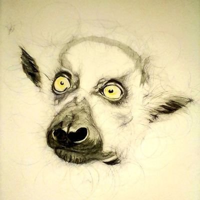 muiruriart's profile picture. Self taught artist I draw in circles freehand from scratch; I mainly do animals to raise awareness for the conservation of wildlife