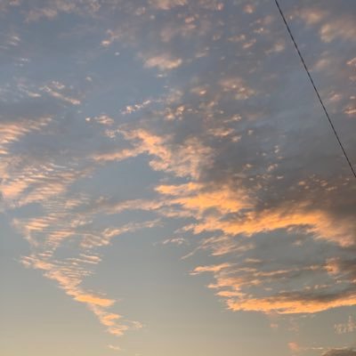 たぬきち ワンピースのワンゼと宮下草薙の草薙がとても似て見える 違うんだけどどこか似てる たぬきち ワンピースのワンゼと宮下草薙の草薙がとても似て見える 違うんだけどどこか似てる
